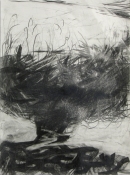 Lisa  Hamilton pencil drawings pencil