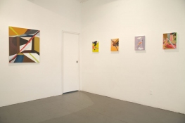 Lisa  Hamilton Exhibition images 