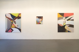 Lisa  Hamilton Exhibition images 