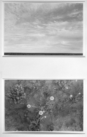 Lynn Silverman Horizons 
