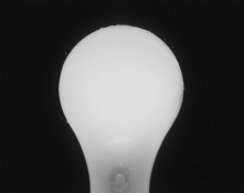 Lynn Silverman Lightheaded 