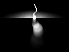 Lynn Silverman Lifelines 