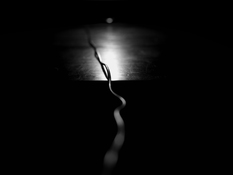 Lynn Silverman Lifelines 