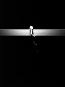 Lynn Silverman Lifelines 