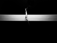 Lynn Silverman Lifelines 