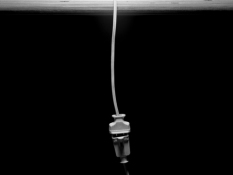 Lynn Silverman Lifelines 