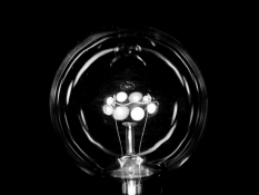 Lynn Silverman Lightheaded 