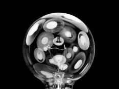 Lynn Silverman Lightheaded 