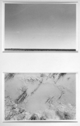 Lynn Silverman Horizons 
