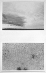 Lynn Silverman Horizons 