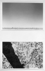 Lynn Silverman Horizons 