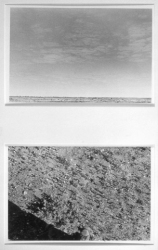Lynn Silverman Horizons 