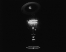 Lynn Silverman Lightheaded 