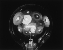 Lynn Silverman Lightheaded 