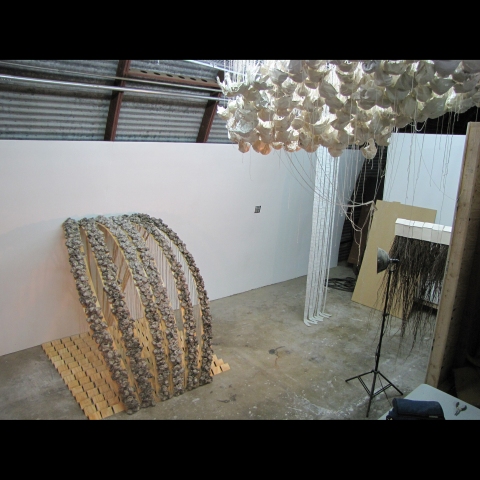 marianne mcgrath <b>studio/process shots</b> 