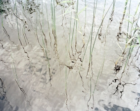 Marius Schultz Fine Art Photograhy - Utstilling på Kafé Celsius i Oslo til september 2013  reeds Photography
