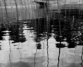 Marius Schultz Fine Art Photograhy - Utstilling på Kafé Celsius i Oslo til september 2013  reeds Photography