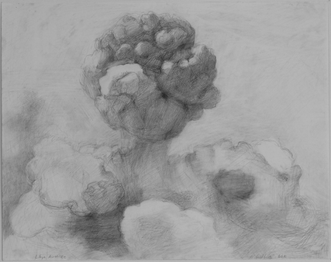 Marsha Goldberg "Smoke Rises...": Drawings 2011-2012 graphite