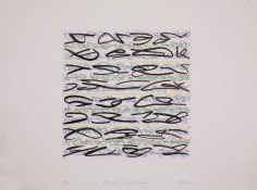 Marsha Goldberg Lost Language: Drawings 2009-2012 india ink and colored pencil