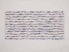 Marsha Goldberg Lost Language: Drawings 2009-2012 india ink and colored pencil