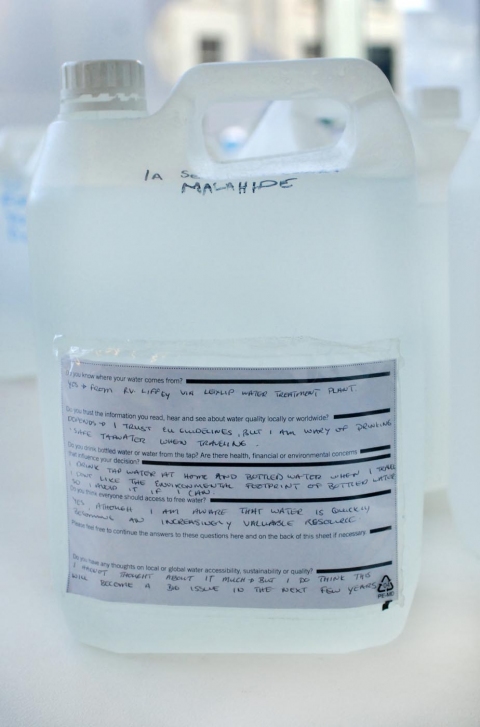 MARY COBLE SOURCE (DUBLIN): FIELD OF WATER 2011 