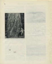 Matthew Cusick Defacements Defaced book page