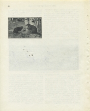 Matthew Cusick Defacements Defaced book page