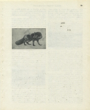 Matthew Cusick Defacements Defaced book page
