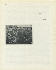 Matthew Cusick Defacements Defaced book page