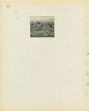 Matthew Cusick Defacements Defaced book page