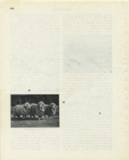 Matthew Cusick Defacements Defaced book page