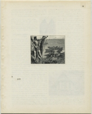 Matthew Cusick Defacements Defaced book page