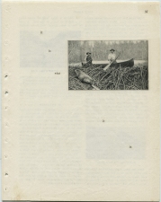 Matthew Cusick Defacements Defaced book page