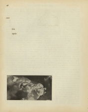 Matthew Cusick Defacements Defaced book page
