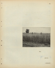 Matthew Cusick Defacements Defaced book page