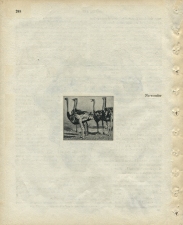 Matthew Cusick Defacements Defaced book page