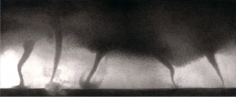  Tornadoes India ink on gessoed board
