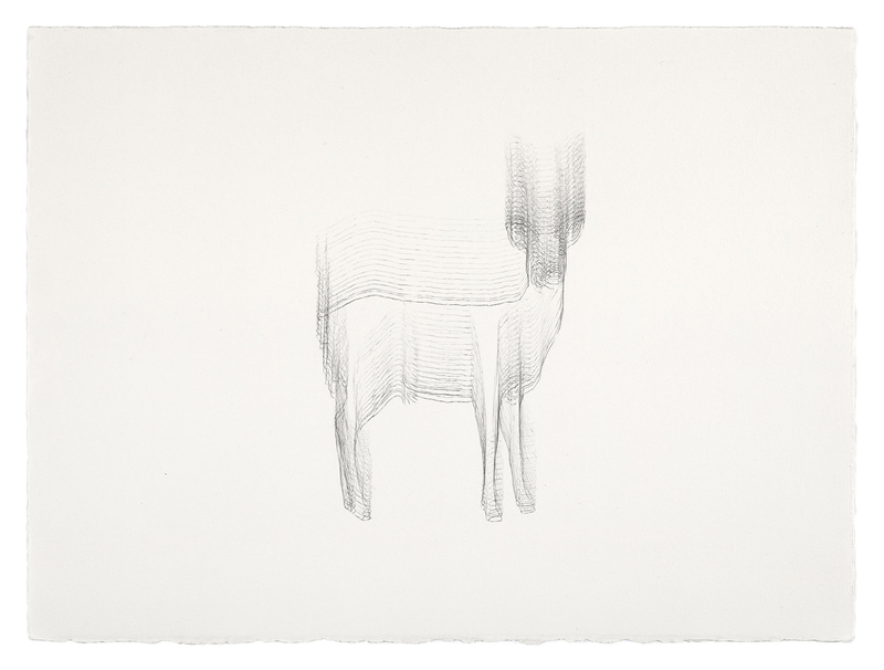  Sorry Deer  Graphite on Paper