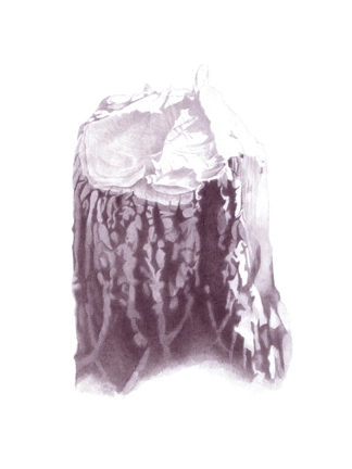 Stump 2-2-11 Stumps India ink on gessoed board
