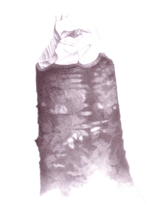 Stump 1-14-11 Stumps India ink on gessoed board