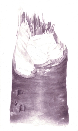 Stump 2-27-11 Stumps India ink on gessoed board