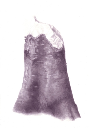 Stump 2-25-11 Stumps India ink on gessoed board