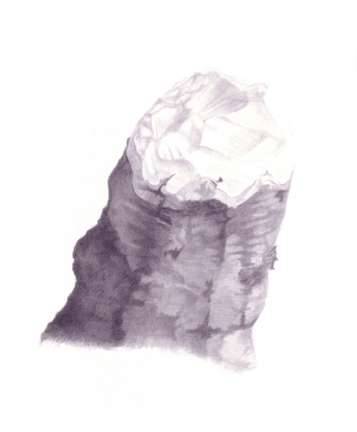 Stump 2-21-11 Stumps India ink, gesso on board