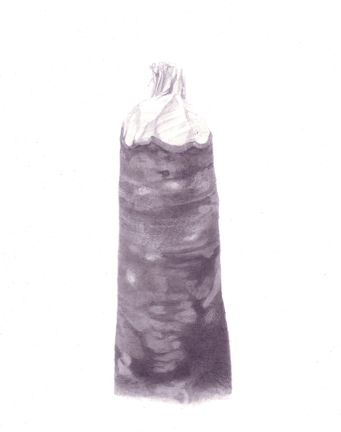 Stump 2-17-11 Stumps India ink on gessoed board