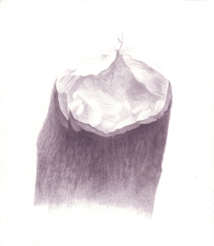 Stump 1-7-11 Stumps India ink on gessoed board