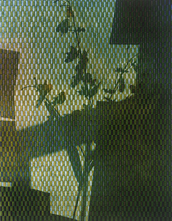  screen shadows archival pigment print