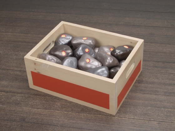 MiYoung Sohn Rocks hydrocal plaster, label, wood, paint
