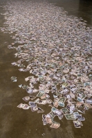MiYoung Sohn Money color inkjet prints
