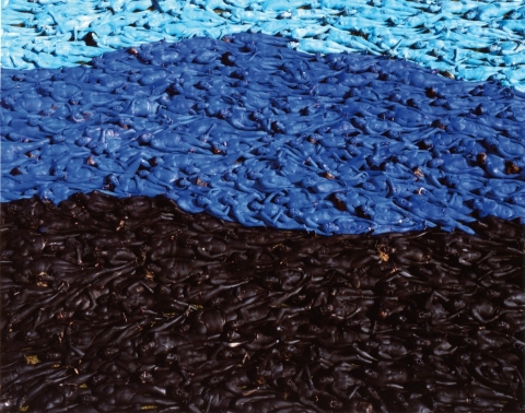 SPENCER TUNICK  adornment c-print mounted between plexi 