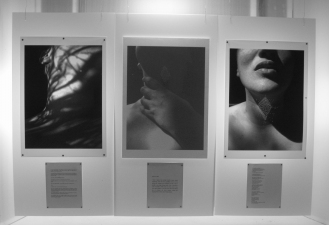 Nicola Woods Window installations, 2007/2009 Mixed media and light